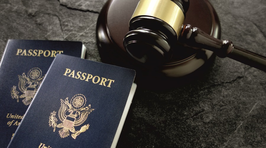 Immigration & consular services offered by Egonu Chambers Law Firm, Onitsha, Nigeria
